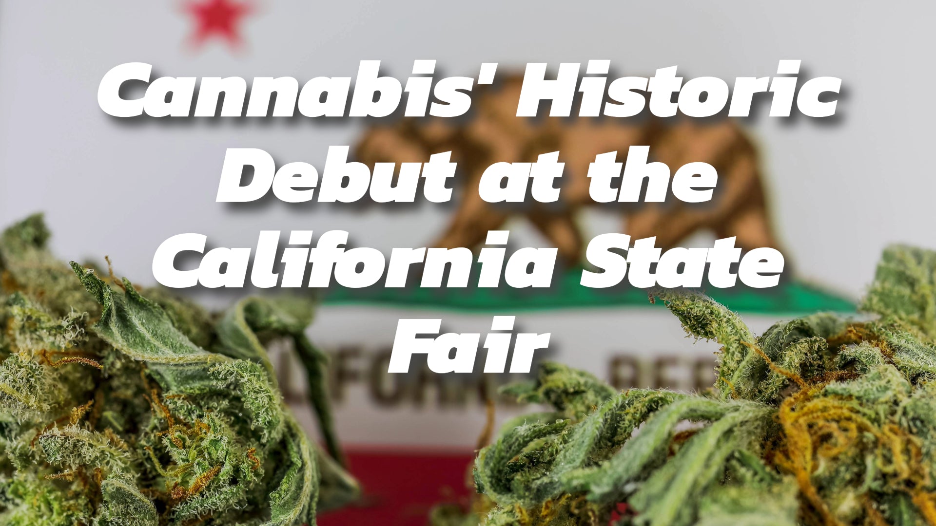 Blazing a New Trail: Cannabis' Historic Debut at the California State Fair